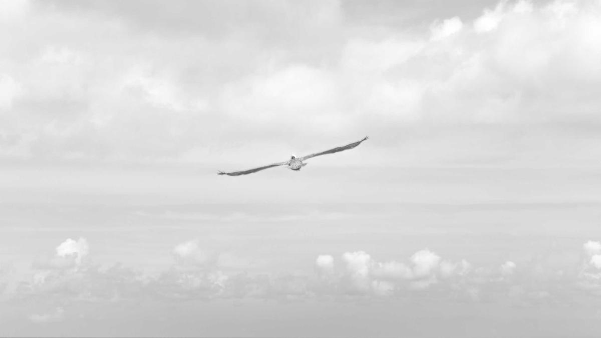 Detailansicht: Deutschland Trikot Historie