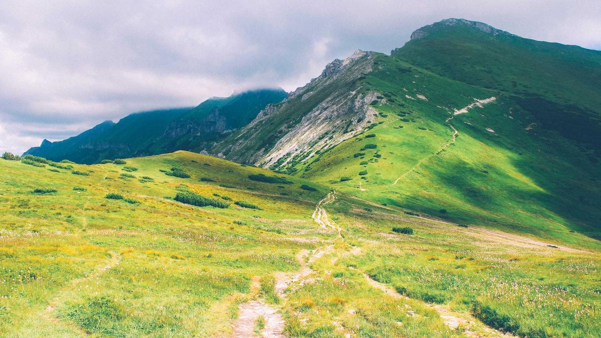 Detailansicht: Grifo Torrekord Freiburg