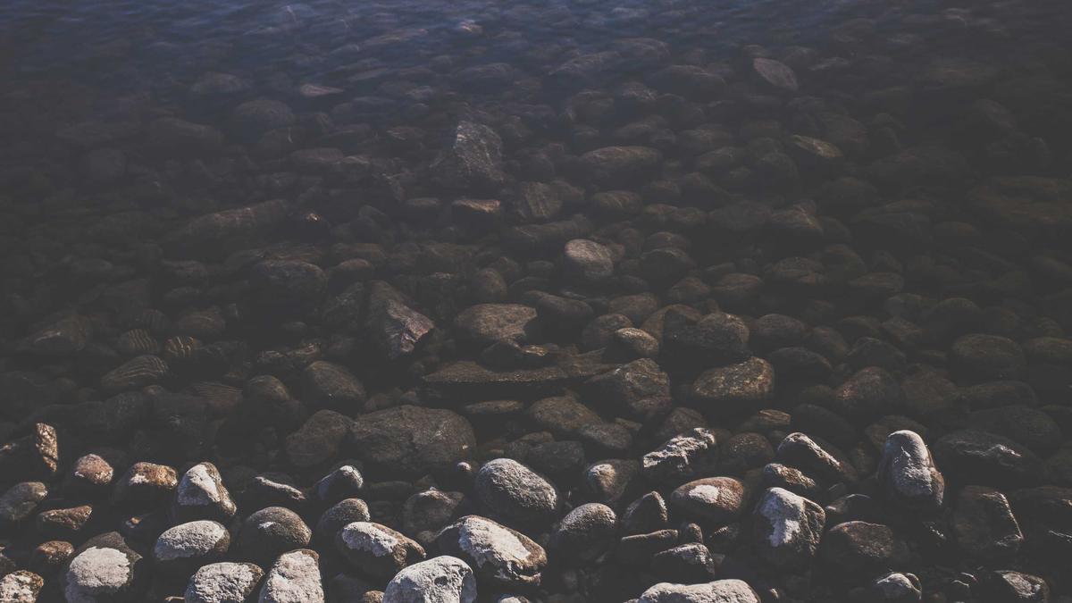 Detailansicht: HSV Dortmund