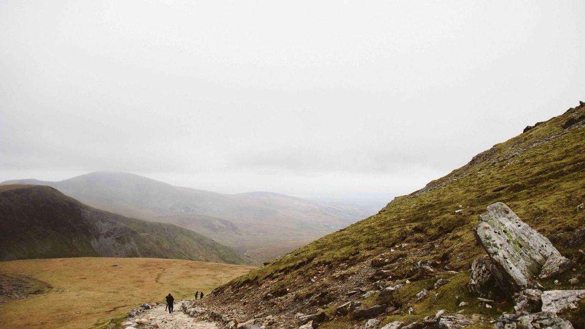 Illustration zu Stadionsicherheit Bundesliga