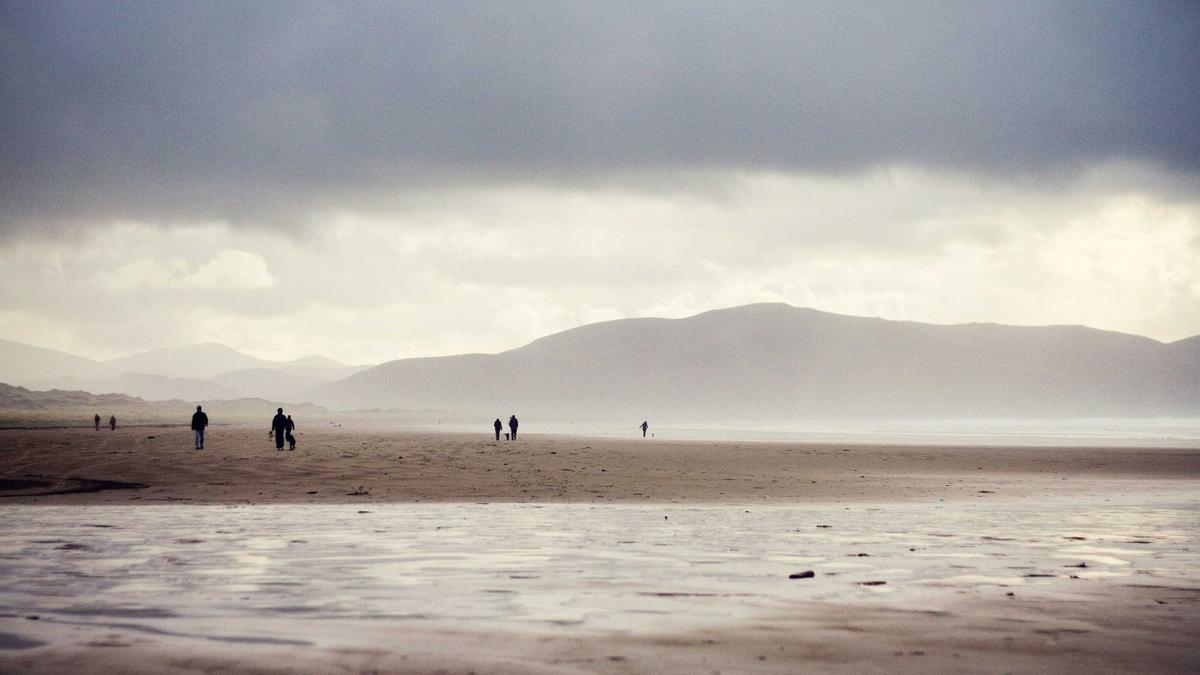 Illustration zu VFB Porto Live