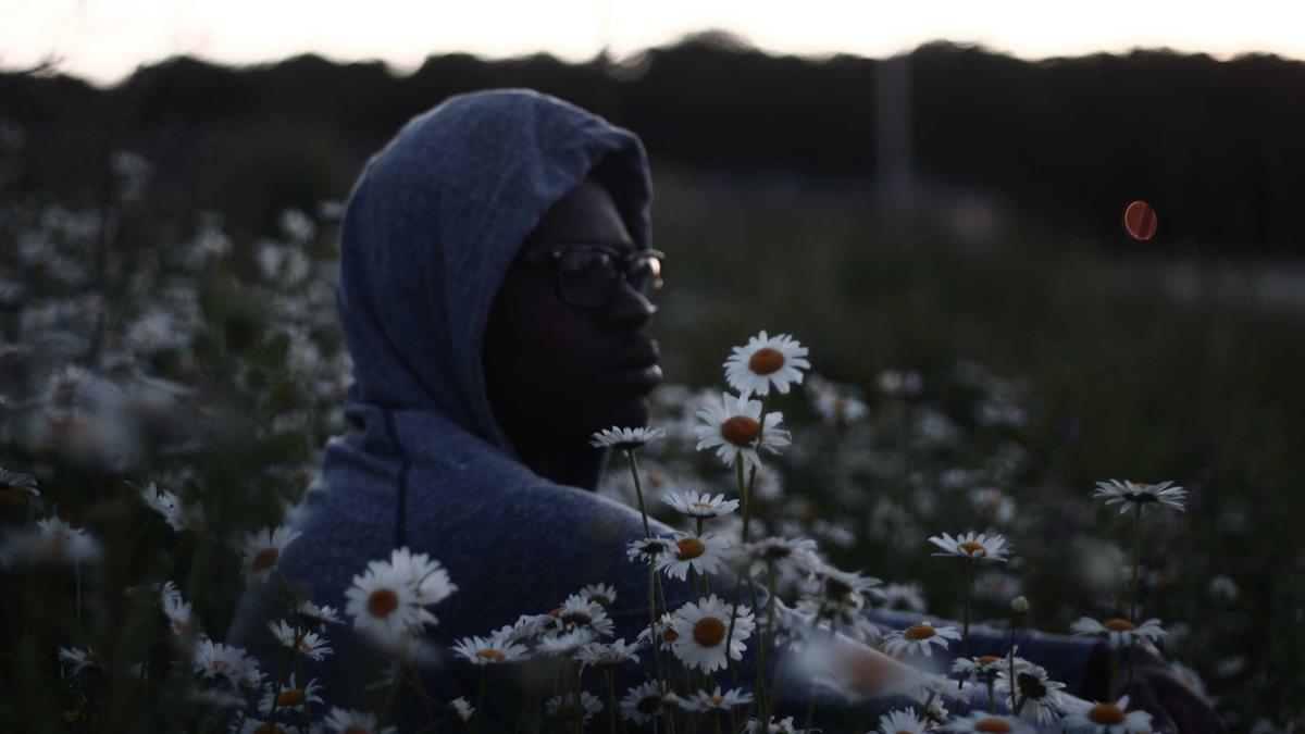 Detailansicht: VFB Porto Live