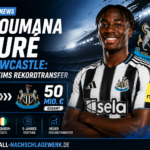 Bazoumana Touré zu Newcastle: Hoffenheims Rekordtransfer