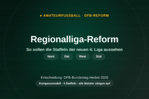Regionalliga-Reform: So soll die neue 4. Liga aussehen